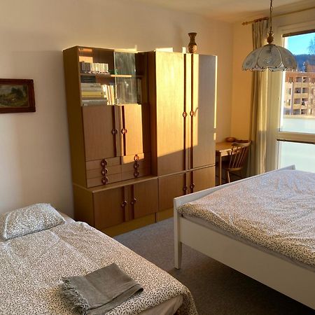 Apartman Pod Studenou Horou Rokytnice nad Jizerou Bagian luar foto